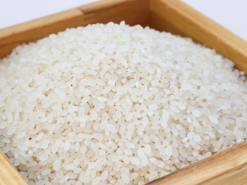Pengganti beras